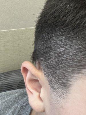 Long patch behind ear