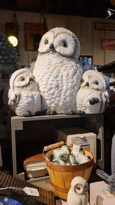 Cute owls.