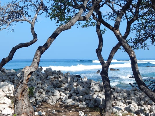 The coast of Kona, Hawaii.