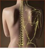 A Chiropractic session can relieve pain and help to heal old injuries.