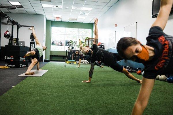 Side plank series, part of Kung Fu Strength