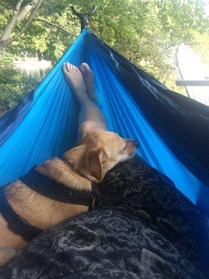 Relaxing in my portable hammock.