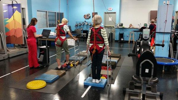 Balance and Gait Training