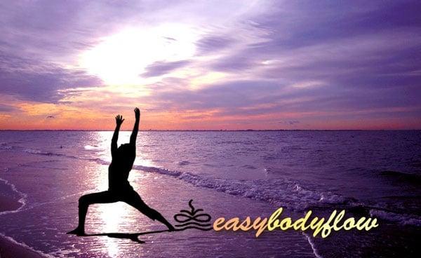 Easybodyflow