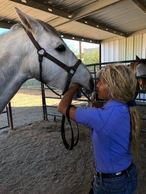 Healing Hands Equine