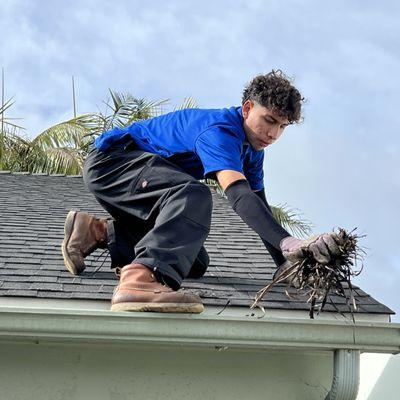 Gutter Cleaning Services