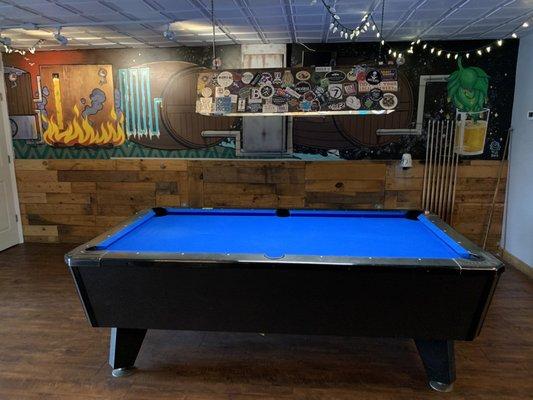 Pool table, Soggy Bottom Brewery, Dunedin, Tampa Bay