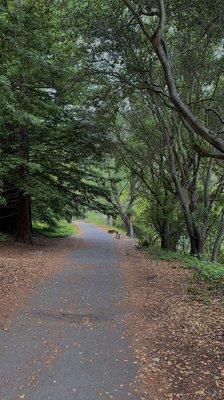 Lake Anna Hiking trail