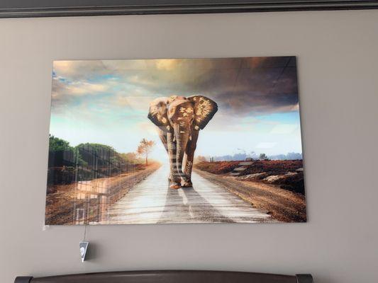 Elephant Glass Wall-art