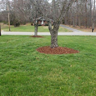 Mulch plant and tree beds