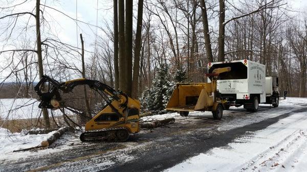 Climb High Tree Service