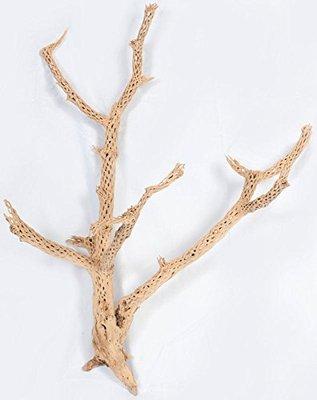 Sandblasted Cholla-Great for design or event work.  Even cages.