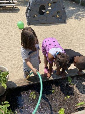 Garden helpers