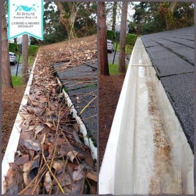 Gutter Cleaning in Goldsboro NC