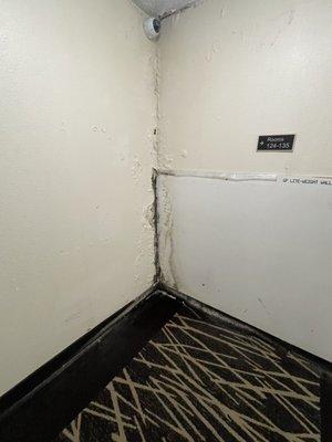 Water damage in hall