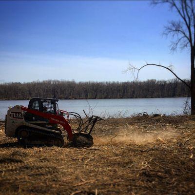 Forestry mowing