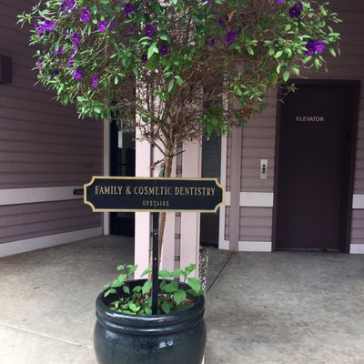 Cute planter at the bottom of the staircase to the dentistry.