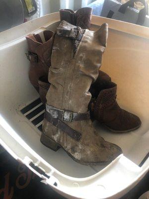 Mold growing on boots that were stored in the unit for only 3 months.