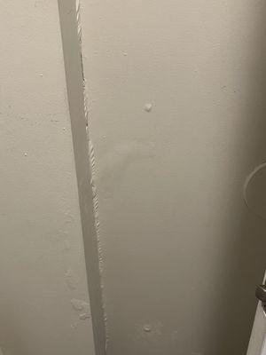 Blushing walls from internal water damage (is there mold in there?)