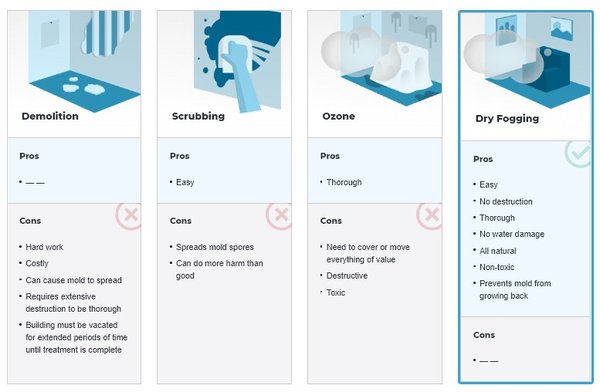 Options for mold treatment.