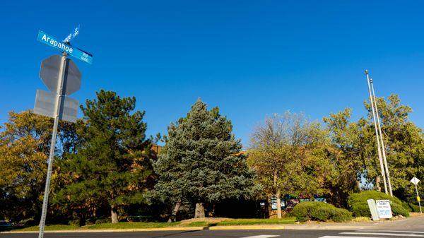 Nestled behind the beautiful trees in Boulder, CO.