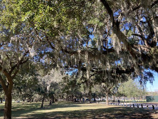 Daffin Park Dog Park