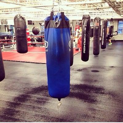 Roc Boxing & Fitness