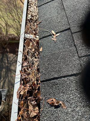 Leaves in Gutters