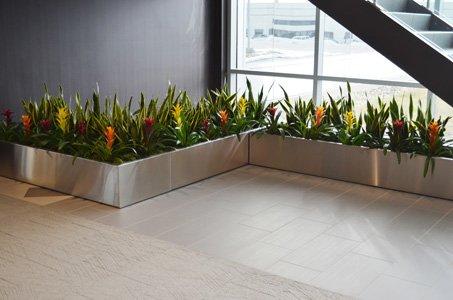 Let our professional staff brighten your lobby with a unique display.