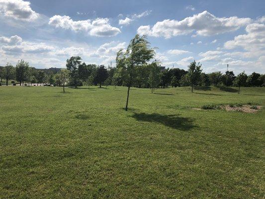 Brandt Park - OU Duck Pond:  Grass Area