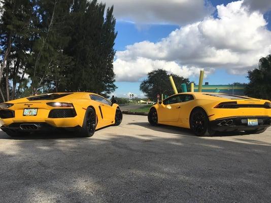 Exotic Car Rentals Miami