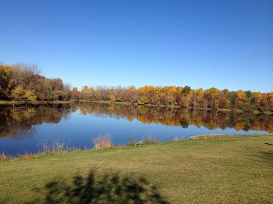 Chicago Forest Preserve