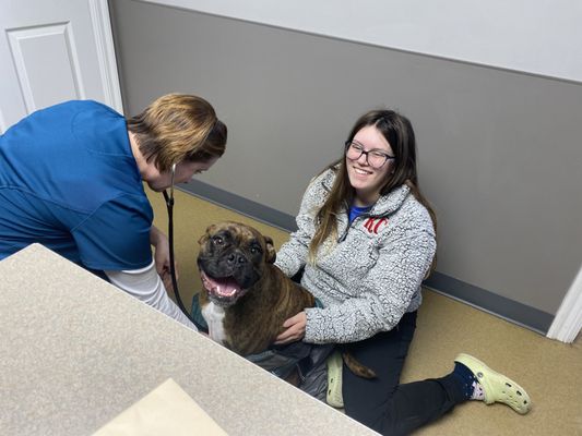 Crossroads Animal Hospital