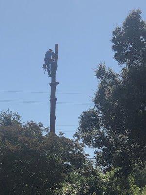 Don climbing down to finish the job