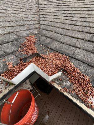 Gutter cleaning