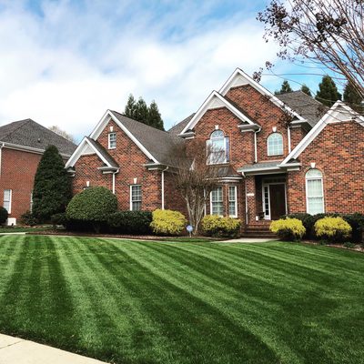 Yard we maintain in High Point, NC after a fresh cut!