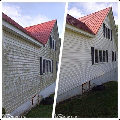 Algae removal from vinyl siding .