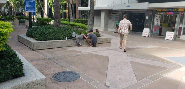 Constant homeless people in front of the building. Security does nothing.