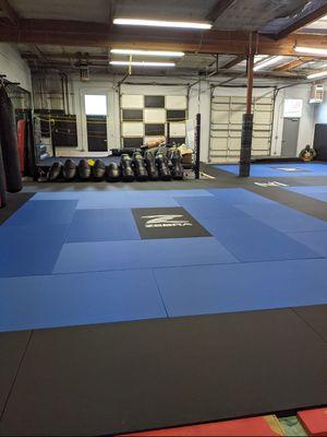 Large mat area as well as MMA ring