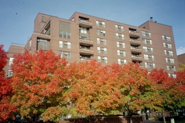 Fall colors in Full Bloom at Calvary Center Cooperative