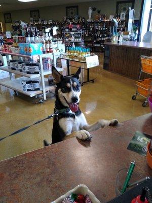 We're pet friendly. Bring Fido in to check us out. Make sure he has his I.D.!