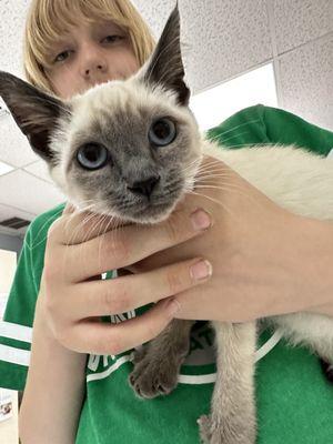 Son, holding the cat we fell in love with but sadly got adopted out from under us :-(