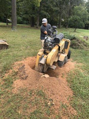 Stump grinding. Rogers AR.