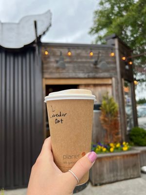 16oz hot latte with lavender and oat milk