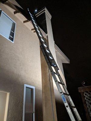 Late Night bee removal by San Diego Humane Animal Removal.