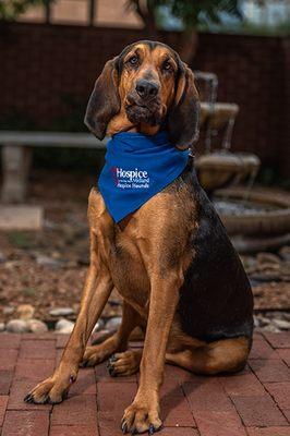 Hospice of Midland Hospice Hounds