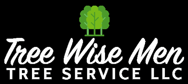 Tree Wise Men Tree Service