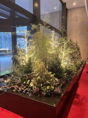 This is a custom installation by Foliage Garden at Christmas time.