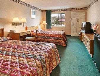 Standard Two Double Bed Room - 101