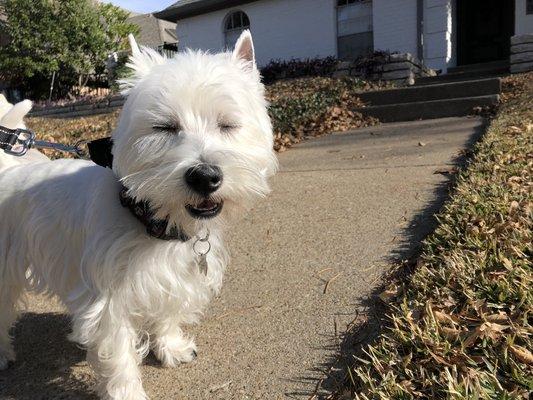 Too cool for shades!